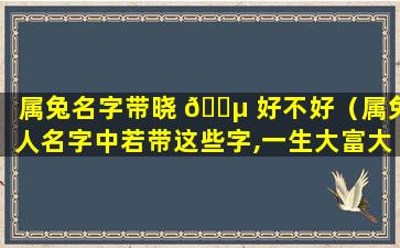 属兔名字带晓 🐵 好不好（属兔人名字中若带这些字,一生大富大贵）